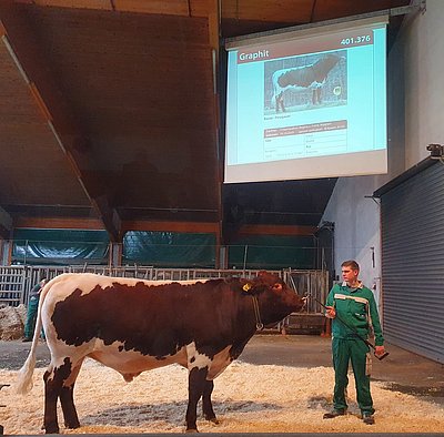ein unverzichtbarer Partner der Pinzgauer-Zucht!