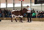 IMG 0473
