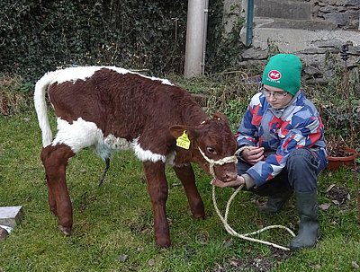 Der jüngste Nachwuchs am Ritterhof!