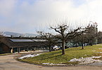 IMG 4706