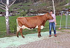 IMG 6913