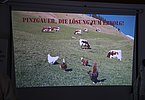 IMG 7729