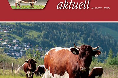 News Titelbild