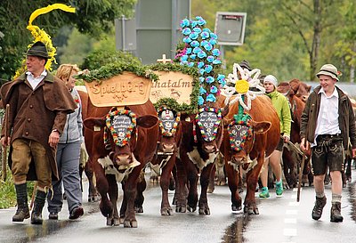 Trotz wenigen Kopfschmuckes ein schönes Bild - das Heimkommen der Familie Niedermoser, Sahat in St. Jakob i. H.