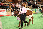 IMG 5866