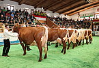 IMG 6095