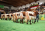 IMG 6754