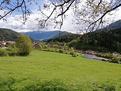 Kurzrasenweide beim Gatscherhof - Josef Innerhofer hat sich viel mit diesem Weidesystem beschäftigt und ist davon überzeugt!