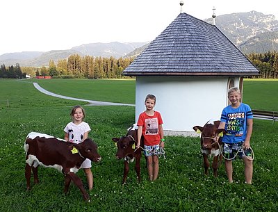 Lea mit Walli (Fasan x Rat), Stefan mit Romy (Fasan x Litzlhof) und Matthias mit Meran (Cosmos x Lamour)