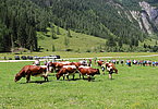 IMG 2054