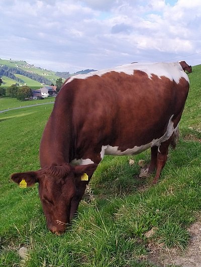 Perfekt eingelebt - Emma von Familie Alder!