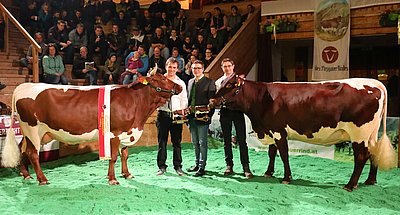 Pinzgauer Jungkuhchampions 2019 - MELODIE (V.Major) - Elisabeth u. Hans-Peter Seber, Hettlgrub, Bramberg und MOASTER (V.Rester) - Josef Höttl, Obermühle, Mittersill