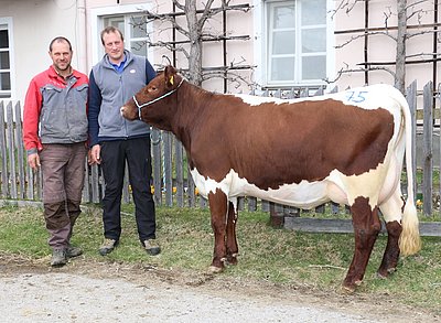 Der Auftakt für 1a-Genetik aus dem Lungau - Matthias Rauter und Robert Krimbacher freuen sich über den geglückten Deal anlässlich des Frühjahrsstiermarktes 2019!