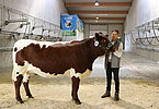 IMG 2748