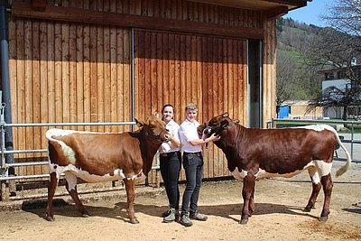 Glänzten mit hervorragenden Vorführleistungen! Vorführsieger Stefan Egger und Vorführreservesiegerin Anna Riedlsperger!