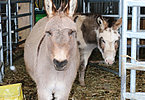 IMG 7753