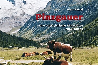 News Titelbild