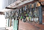 IMG 7771