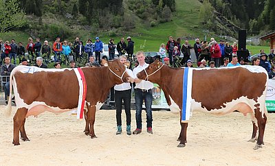 Finale PinzgauerxRF: Siegerin EMBACH (V.Astor) und Reservesiegerin MONA (V.Loris) - beide von Monika u. Albin Sommerer, Steiner, Embach