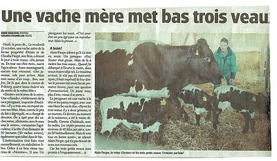 Und auch in der Tageszeitung wurde vom besonderen Ereignis berichtet!