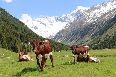 Groß und Klein genießt den Sommer