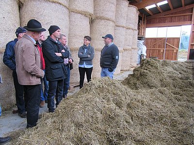 Spitzengastronomie und Pinzgauer-Fleisch-Zucht - das Erfolgsrezept der Familie Ellgaß in Eglofs.