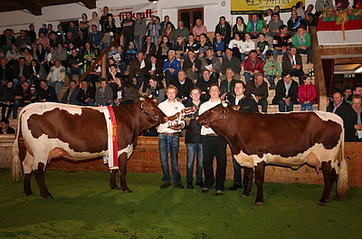 Pinzgauer Jungkuhchampions 2017 - LADY (V.Fidelio) von Gerhard Innerhofer, Einödberg, Mittersill und SILBER (V.Lust) von Hermann Esterbauer, Oberklamm, St. Veit/Pg.