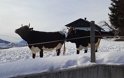 Die hübschen Damen genießen ihre Lebensqualität am Kandlerhof sichtlich!
