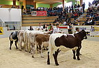 IMG 3049