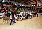 Immer wieder ein schöner Moment - die Präsentation der Züchterinnen und Züchter von morgen!