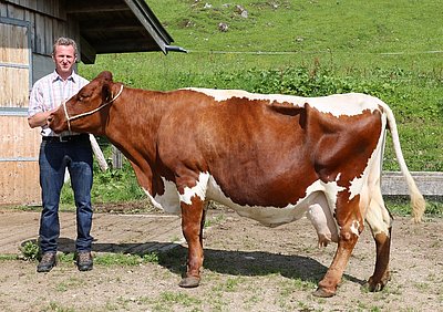 MIAZ (V.Mascha, geb. 30.08.2001) von Klaus Widmoser, Widmoos, Waidring