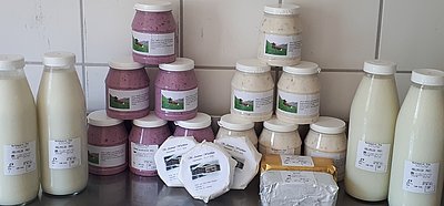 die für diese Qualitäts-Milchprodukte zeichnen!