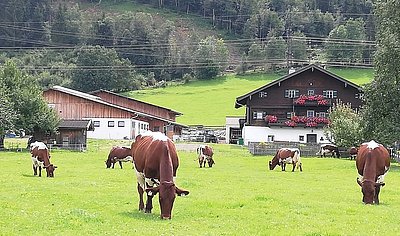 Ehre und Auftrag zugleich - das Verwalten dieser schönen Heimat, dem Wimmgut in Bruck!