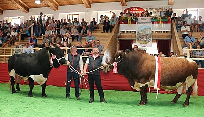 Imposante Prachtkerle aus Kärnten - Reservesieger MAX (V.Midas) von Michael Gleissner, Ebene Reichenau und Sieger ROLANDO (V.Rader) von Dieter Kienberger, Doktorhof, St. Veit/Glan