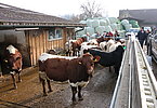 IMG 4680