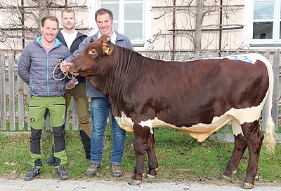 Peter Exenberger und Alexander Katsch, Haller in Westendorf sicherten sich mit Teststier LEIWAND von Hans-Peter Moser, Großschönberg, Goldegg ebenfalls einen hochkarätigen Herdenchef!