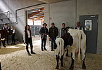 IMG 2880