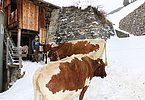 IMG 7759