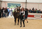 IMG 0912