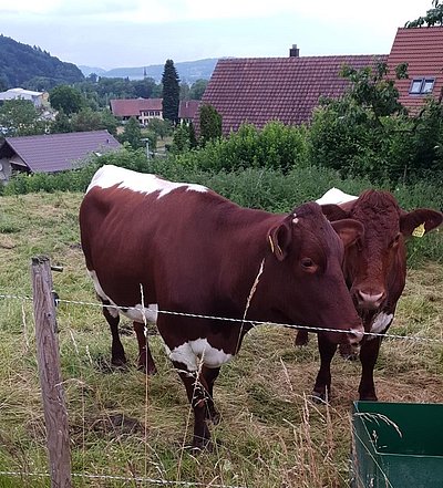 Die neuesten zwei von Michael Keusch!