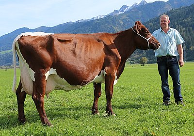 BETTY (V.Elayo Red)