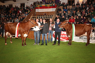 Pinzgauer x RF-Jungkuhchampions 2017 - KATHARINA (V.Jorck Red) von Matthäus Hochfilzer, Ginsberg, Going und SARA (V.Savard Red) von Wolfgang Porsche, Schüttgut, Zell am See