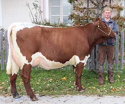 Makellose Jungkuh BUTTER (V.Ritzl) von Monika und Albin Sommerer, Steiner, Lend