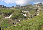 IMG 1980
