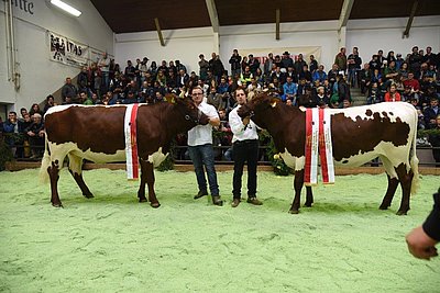 Gesamtsieger der 7. Bezirksschau - Typsiegerin FALKE mit Hannes Gruber und Vorführsieger Simon Costabiei mit SAMIRA, zugleich Typreservesiegerin