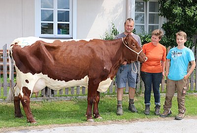 Fam. Steinberger, Forstreit in Bischofshofen freut sich über den erfolgreichen Verkauf ihrer Zweitkalbskuh NORA. Angekauft wurde sie um € 2.240 ebenfalls von Martin Siller!