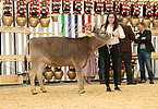 IMG 0495