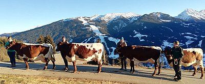 v.l. Mutter Bregenz mit ihren Töchtern Brix, Bleaml und Bella