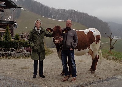 Annemarie Sterzinger und Tobias Schäfer begrüßen eine Neue am Bichlhof - eine Jungkuh (V.Sterz) von Andrea Höller, Niederlehen in Wagrain