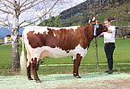 IMG 6917